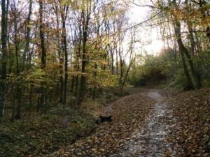 Greencroft Valley, Penwortham