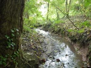 Fish House Brook