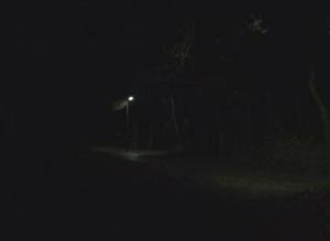 Lamppost, Greencroft Valley