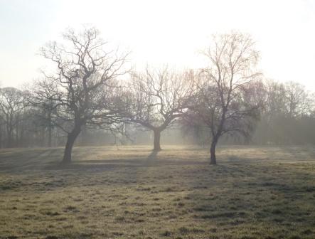 Middleforth Green, Spring Mist 007 - Copy