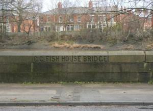 Fish House Bridge