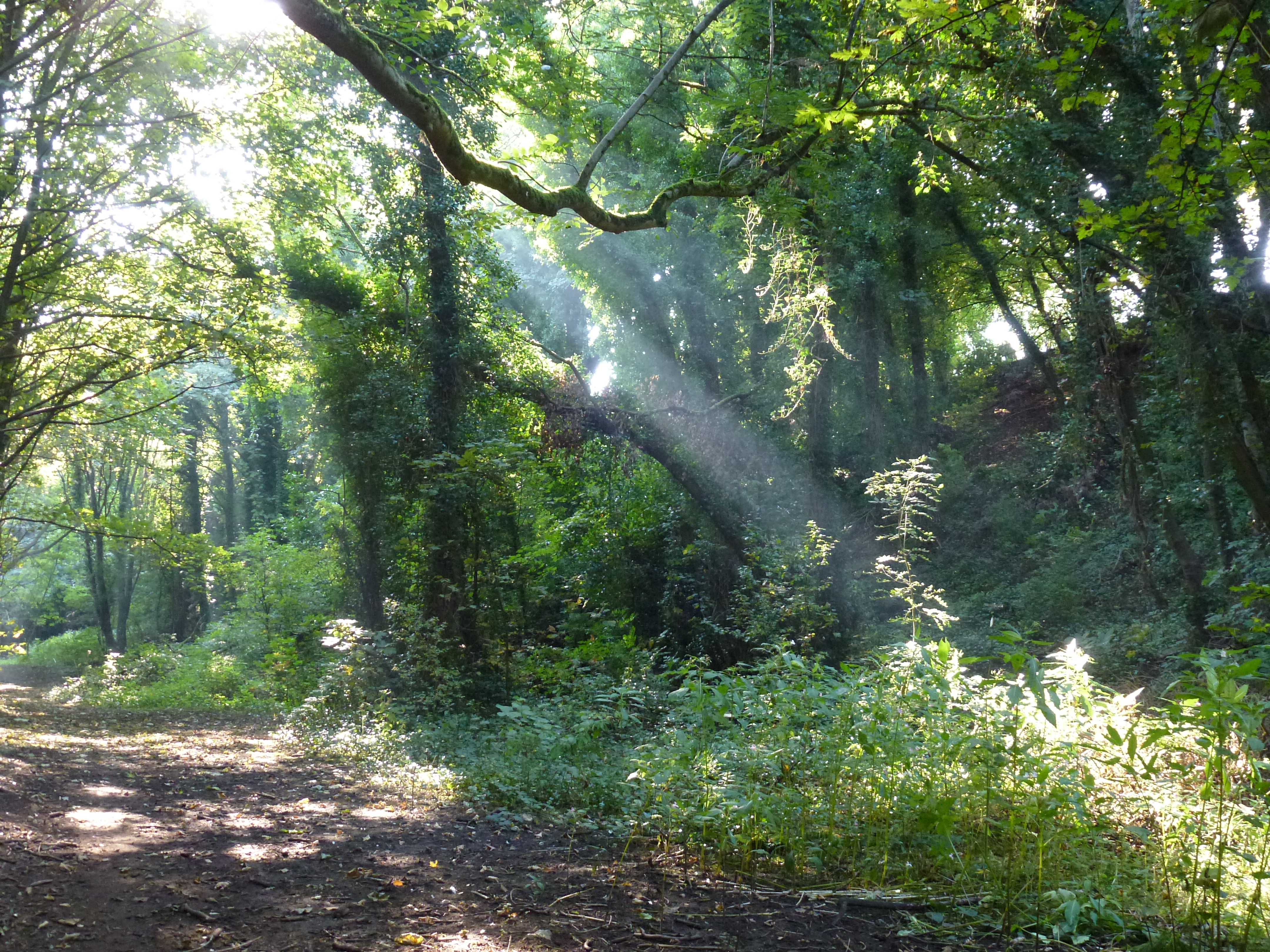 I want to live a life that fills my soul with awe and wonder