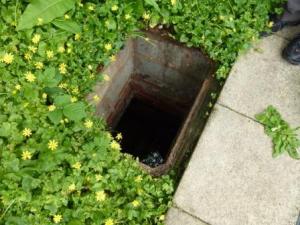 FHB culverted tributary - Copy