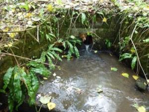 Fish House Brook, source
