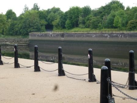 River Ribble, water level
