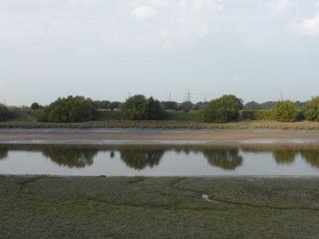 Natural Coastline of the river Ribble with Lea Marsh in the background
