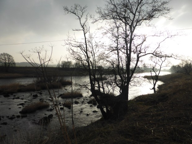River Ribble from the Ribble Way, east of Ribchester Bridge