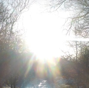 The Brightness beyond Endurance