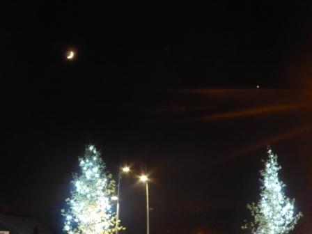 Moon, Venus and Fairy Trees