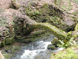 GCV and Fairies Chapel Healey Dell 050 - Copy