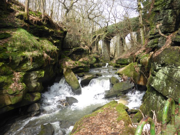 GCV and Fairies Chapel Healey Dell 076