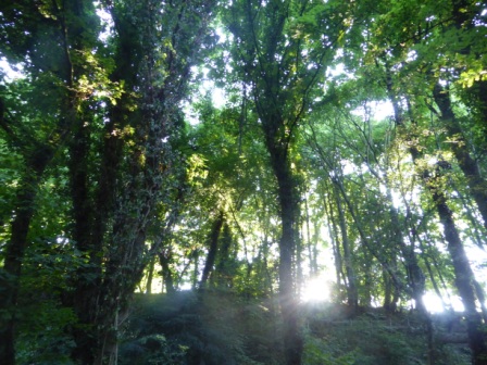 Castle Hill from Fairy Lane