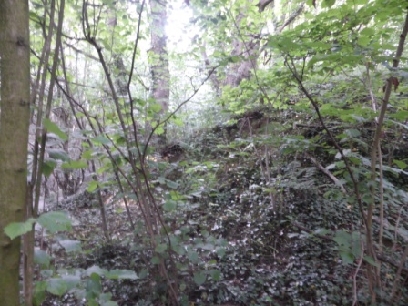 Fulwood Barrow Mound