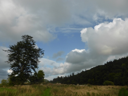 St Kentigern's Graveyard