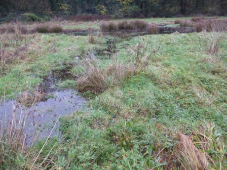 Well Field - Lady's Field - Copy