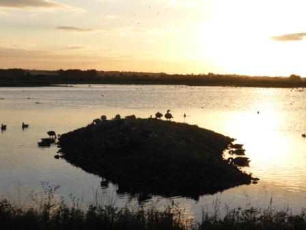 Martin Mere at Sunset