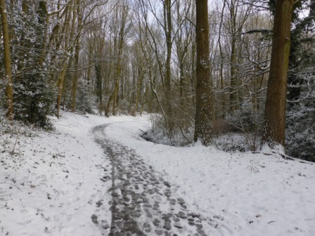 Greencroft Valley snow