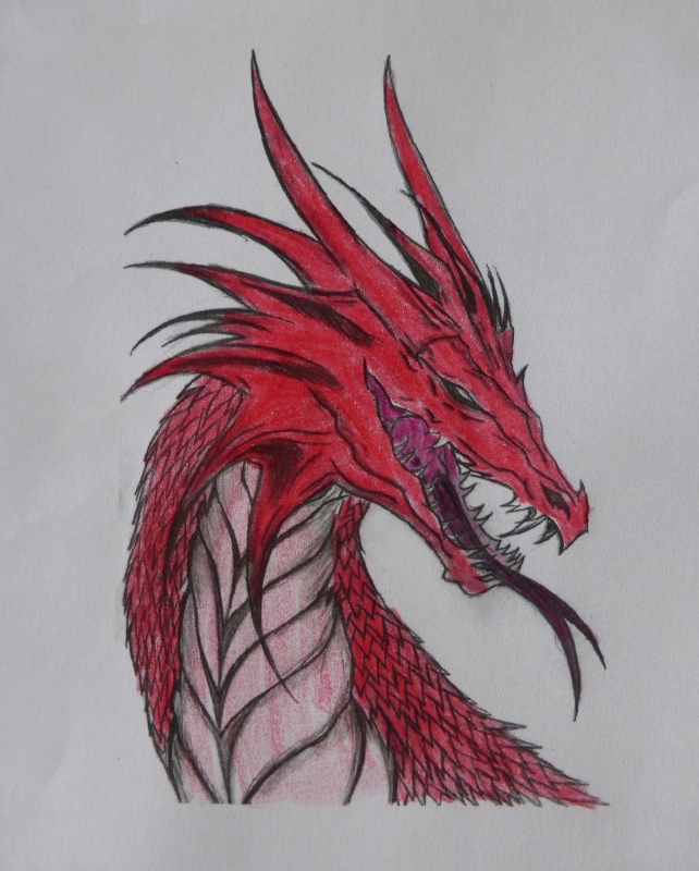 Let me be your dragon