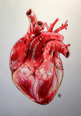 heart-drawing-real-61-by-lunacanan-getdrawings