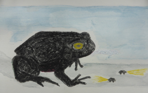 A Black Forked Toad Med II