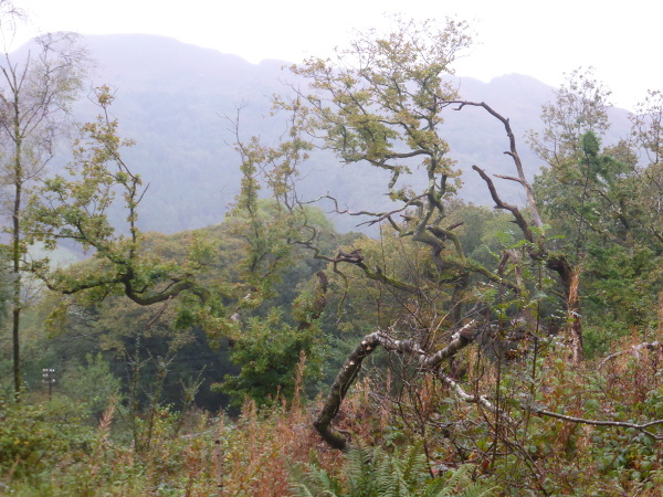 Dyffryn Maentwrog II