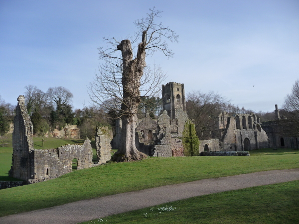 Fountains Abbey