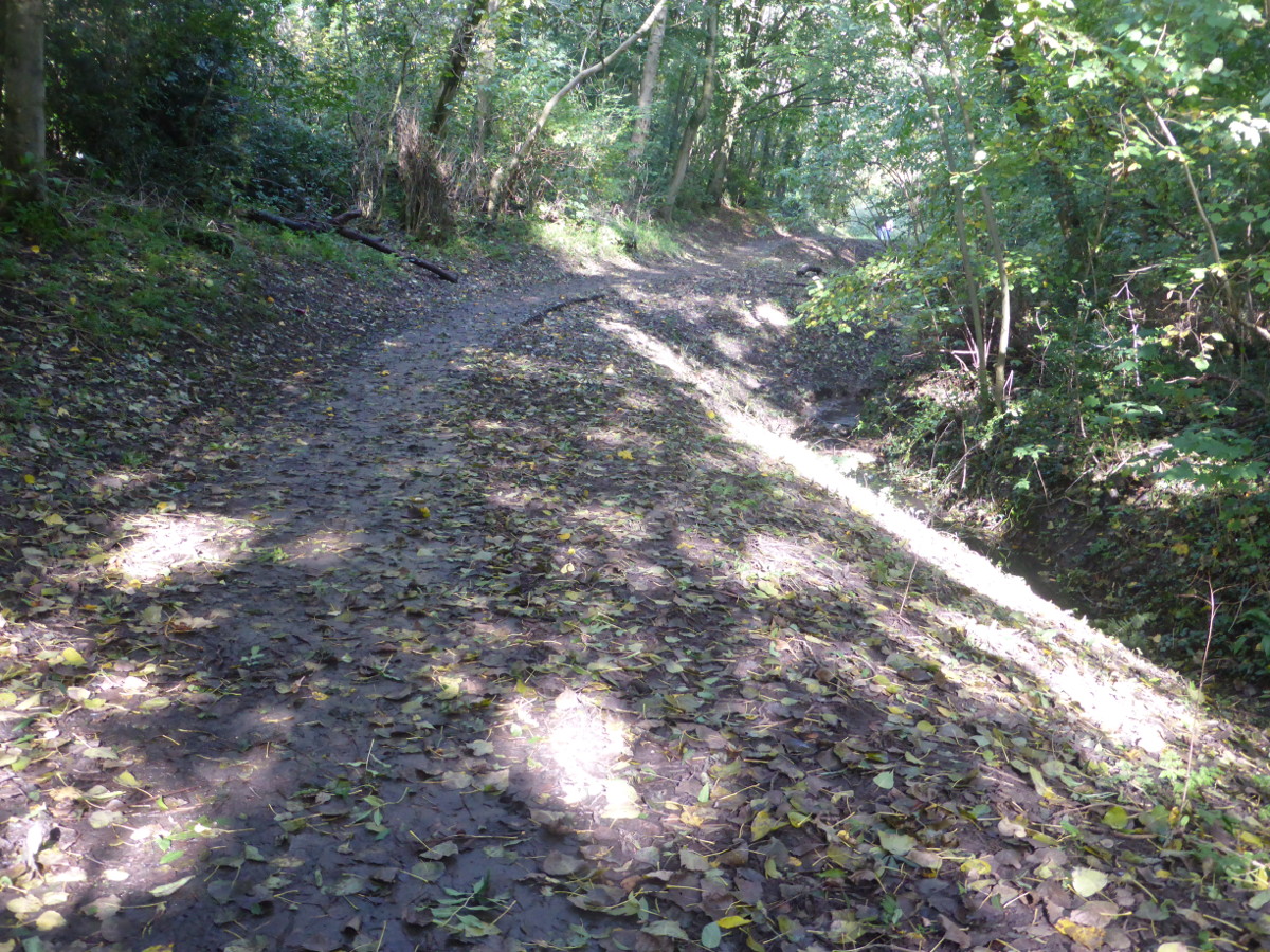 Greencroft Valley October 2019